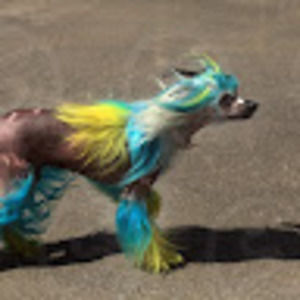 Meet your Posher, Madi